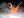 Avatar for zolabundance2